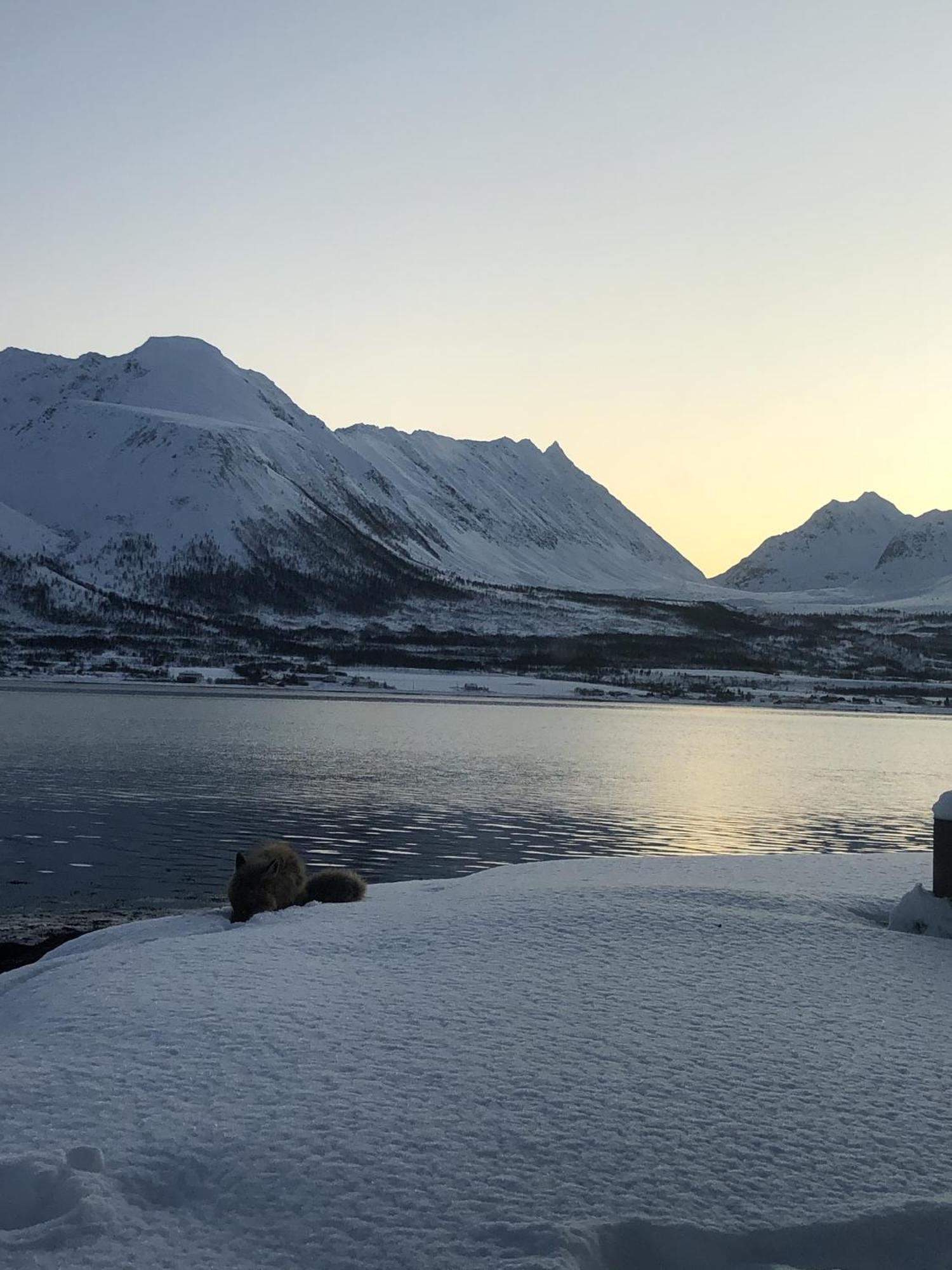 Holiday home Arctic Sea House Svensby